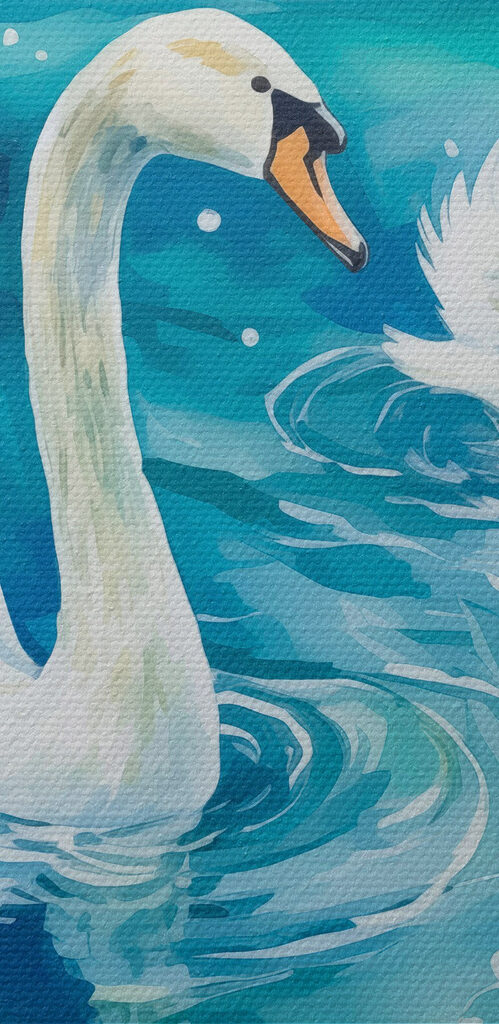 Two swans swimming in water Two swans swimming in water