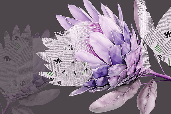 Fiore viola con giornale Fiore viola con giornale