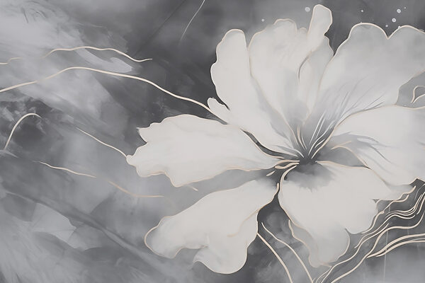 Fiore bianco su sfondo bianco e nero Fiore bianco su sfondo bianco e nero