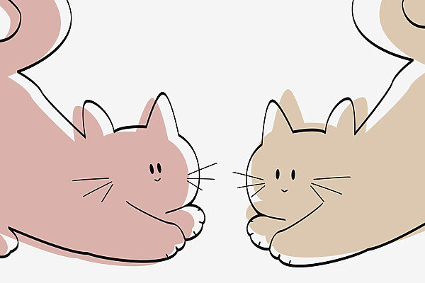 Coppia di gatti sdraiati Coppia di gatti sdraiati