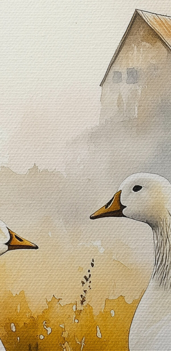 Watercolor of two geese in a field Watercolor of two geese in a field
