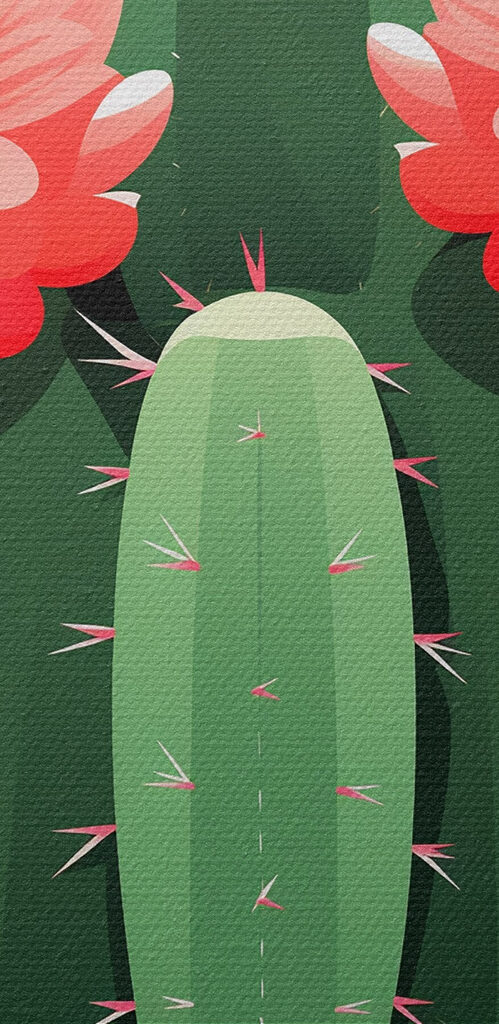 Cactus with pink flowers Cactus with pink flowers