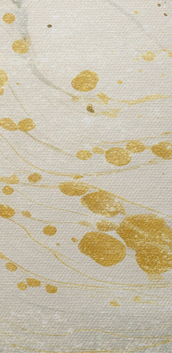 Flowing abstract colors and organic shapes Flowing abstract colors and organic shapes