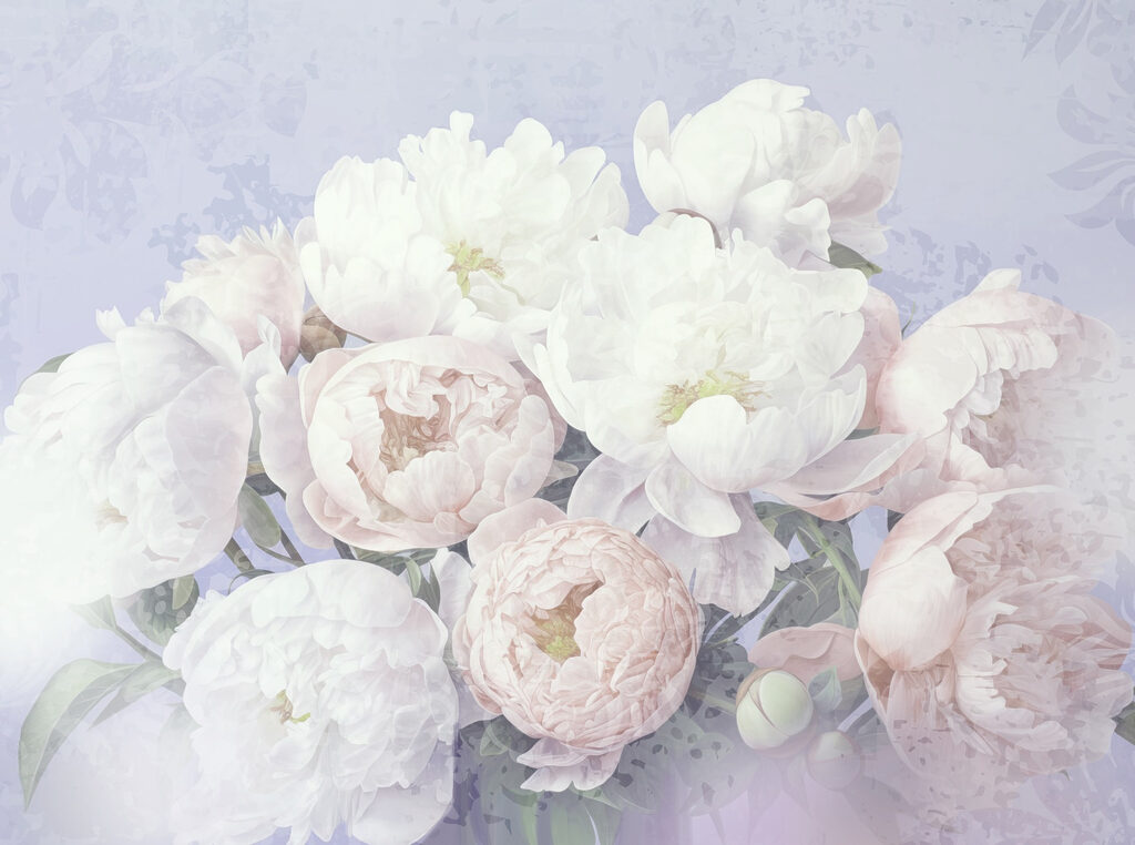 Bouquet di fiori bianchi e rosa Bouquet di fiori bianchi e rosa