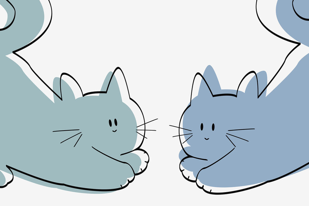 Coppia di gatti sdraiati Coppia di gatti sdraiati