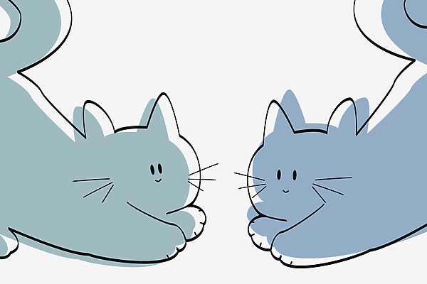 Coppia di gatti sdraiati Coppia di gatti sdraiati