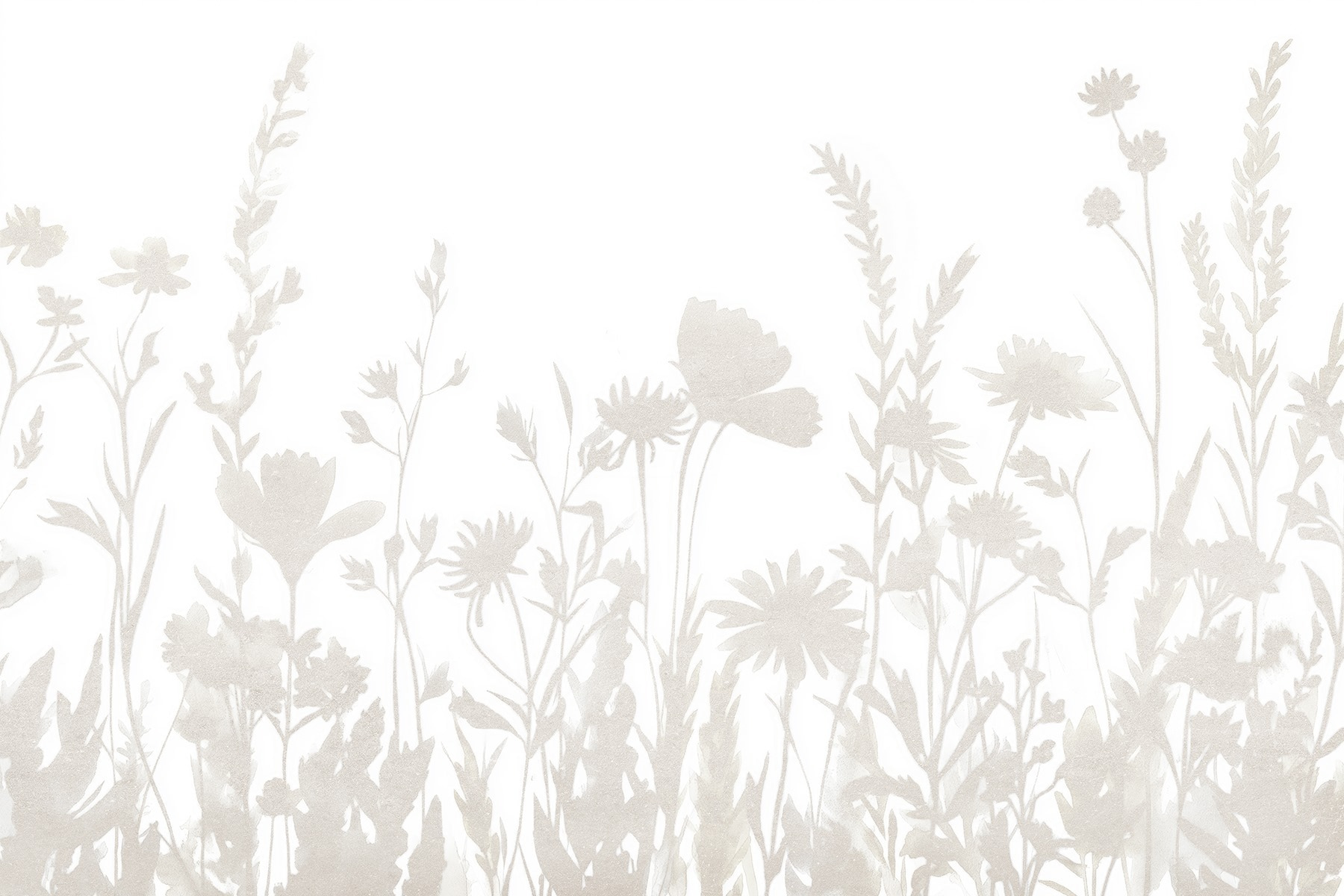 White background with flowers