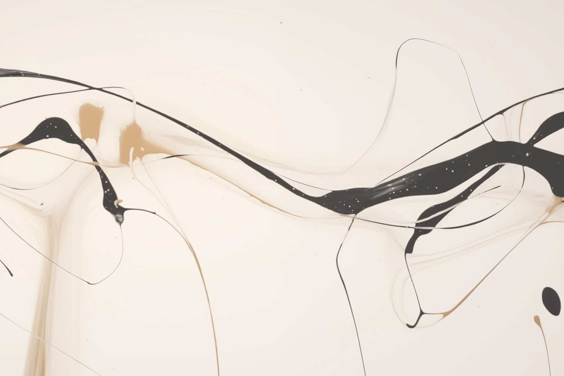 Black and tan paint on a white surface Black and tan paint on a white surface