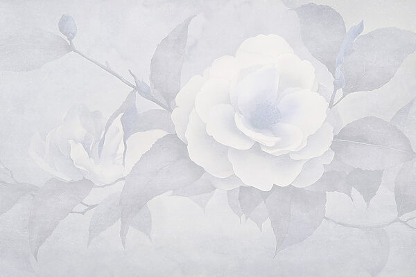 Fiore bianco con foglie Fiore bianco con foglie
