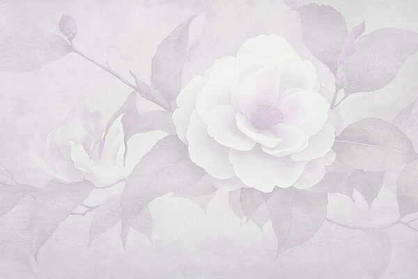 Fiore bianco con foglie Fiore bianco con foglie
