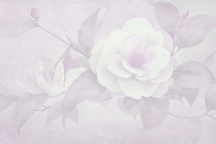 Fiore bianco con foglie