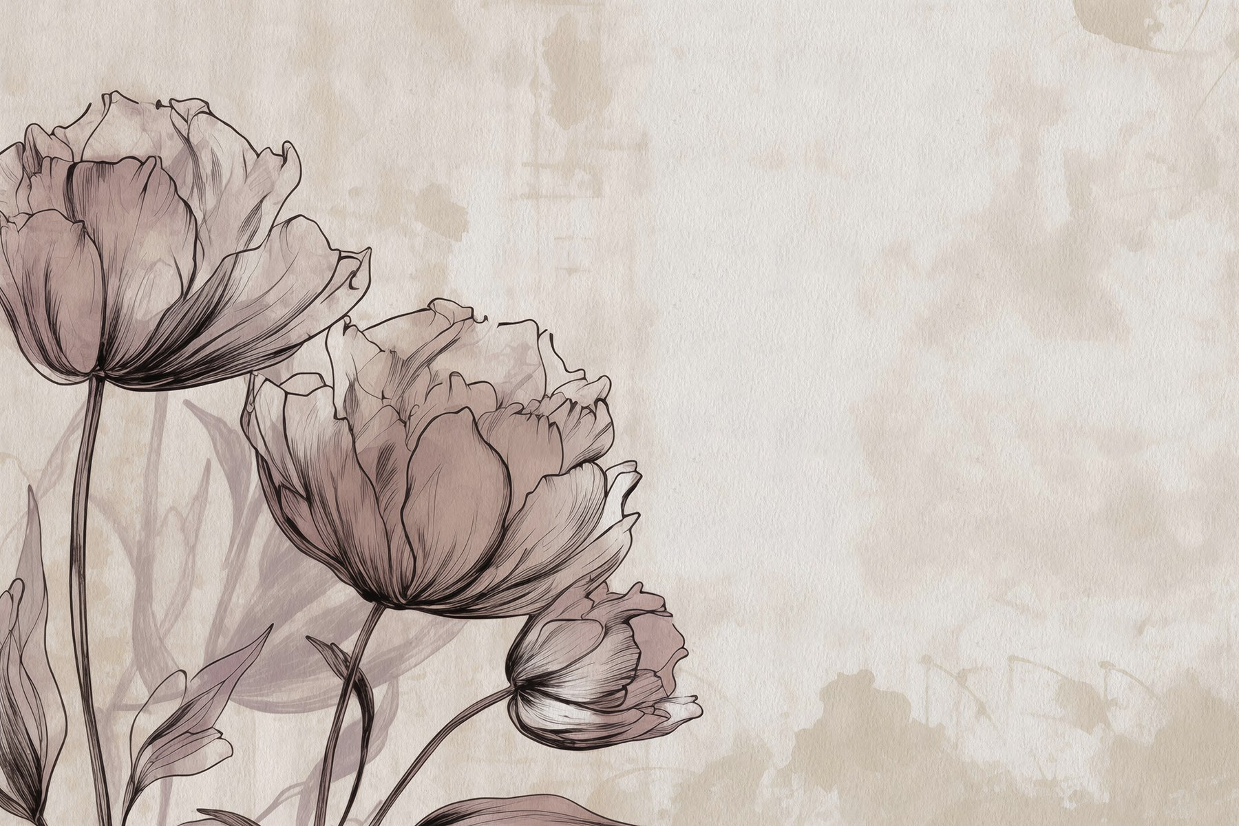 Drawing of flowers on a white background