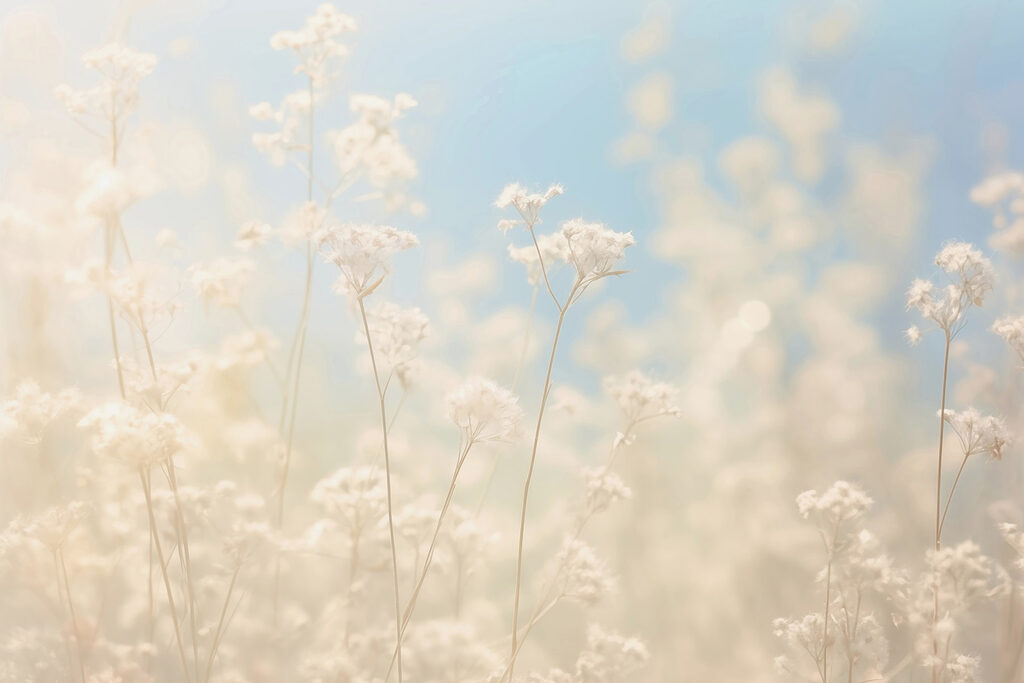 Fiori sognanti alla luce del sole. Fiori sognanti alla luce del sole.