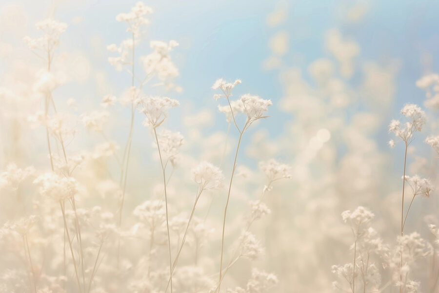 Fiori sognanti alla luce del sole.