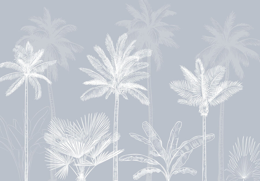 Gruppo di palme