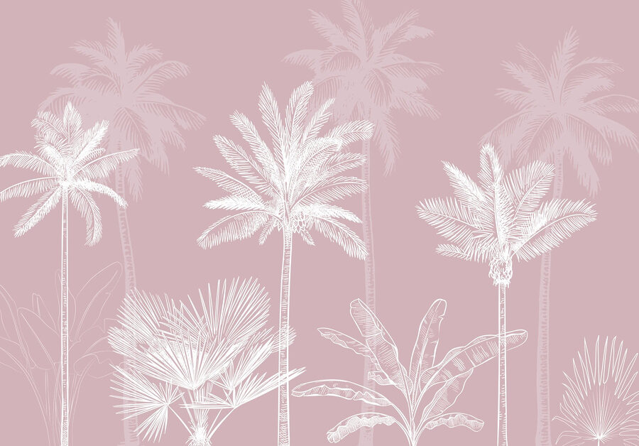 Gruppo di palme