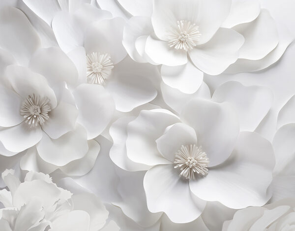 Group of white flowers Group of white flowers