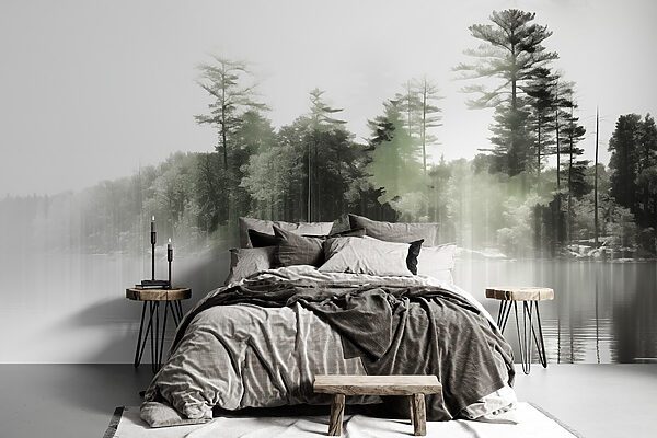 Specchio d'acqua con alberi e nebbia Specchio d'acqua con alberi e nebbia