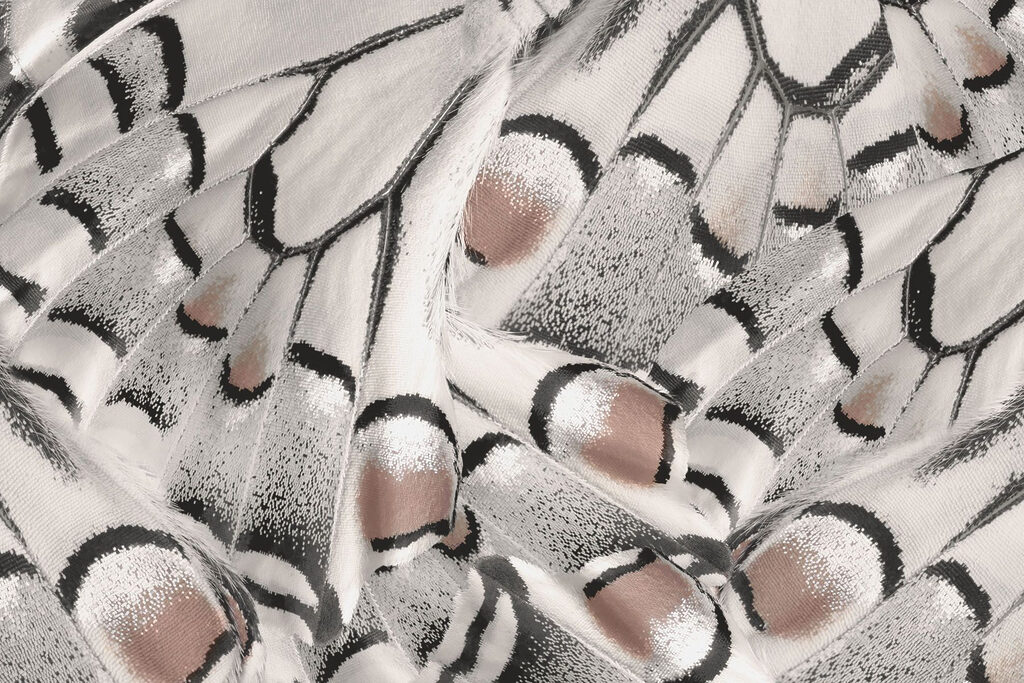 Disegni intricati in un tessuto delicato. Disegni intricati in un tessuto delicato.