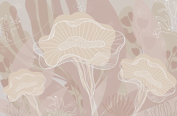 Contorno bianco dei funghi Contorno bianco dei funghi