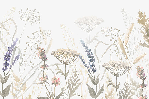 Acquerello di fiori e piante Acquerello di fiori e piante