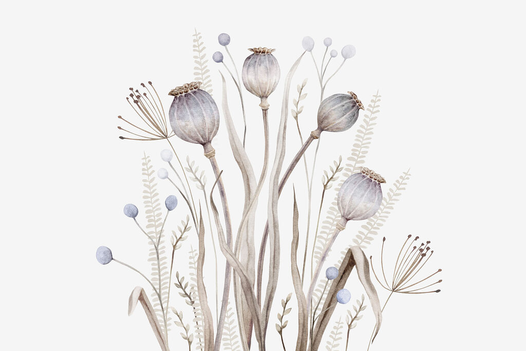 Acquerello di fiori e piante Acquerello di fiori e piante