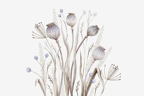 Acquerello di fiori e piante Acquerello di fiori e piante