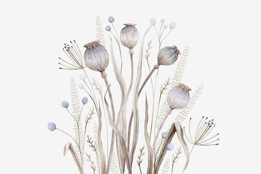 Carta da parati Acquerello di fiori e piante - immagine 3