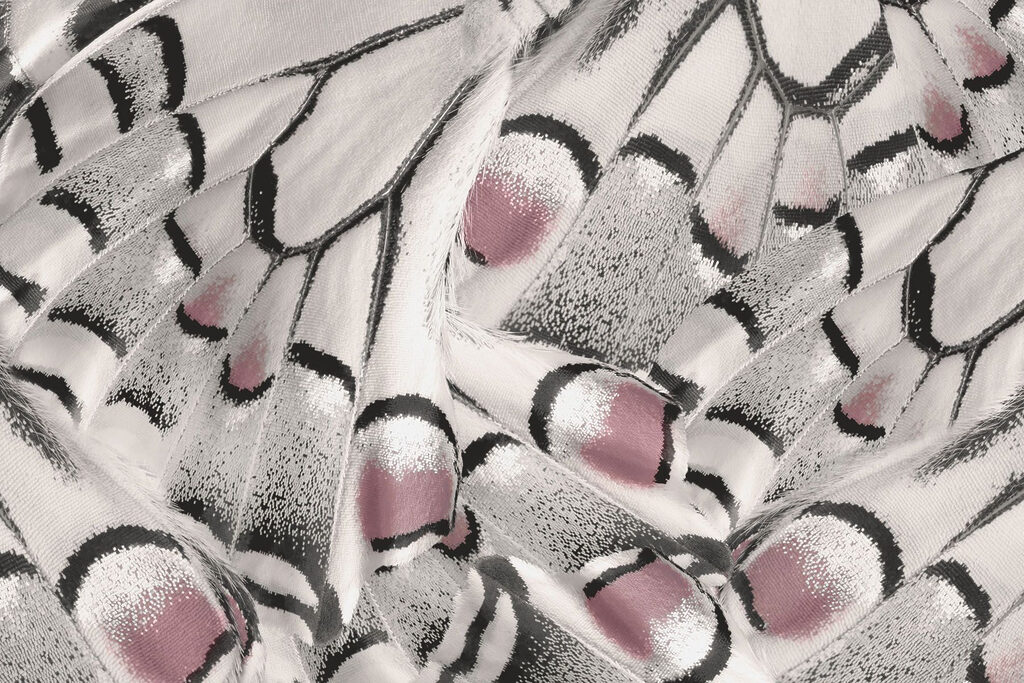 Gli intricati schemi della natura si dispiegano magnificamente. Gli intricati schemi della natura si dispiegano magnificamente.