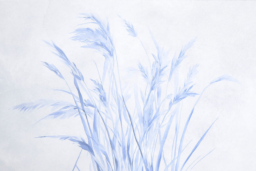 Erbe delicate in tonalità tenui. Erbe delicate in tonalità tenui.
