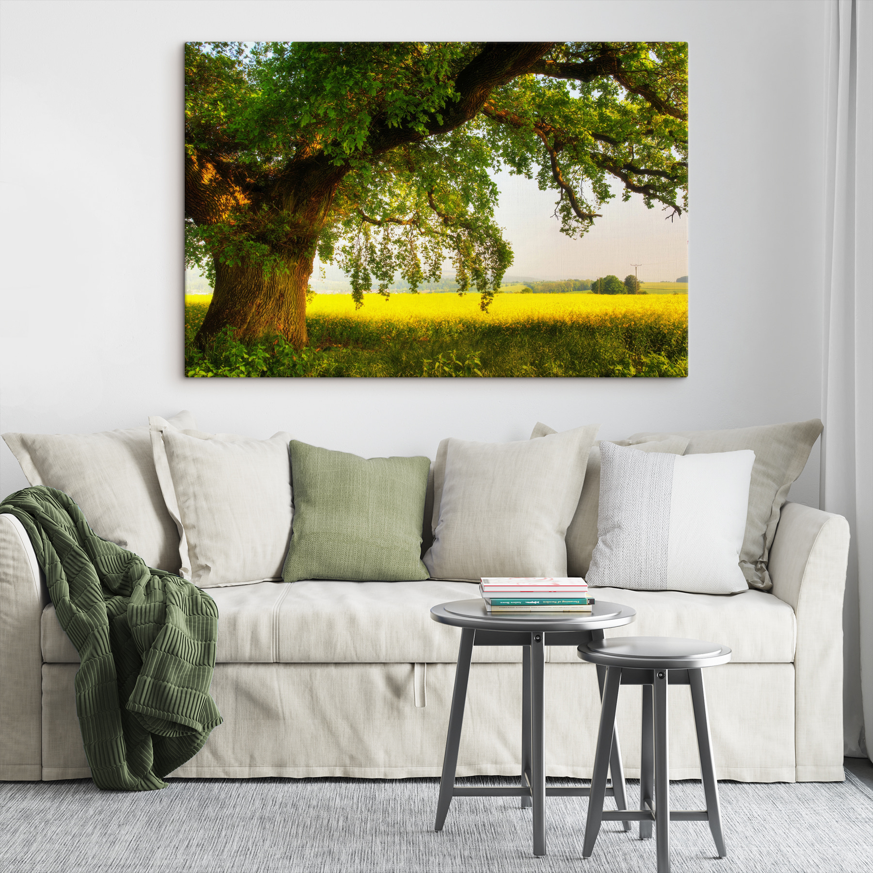 A tree in a field