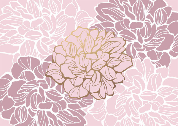 Fiore rosa e bianco Fiore rosa e bianco