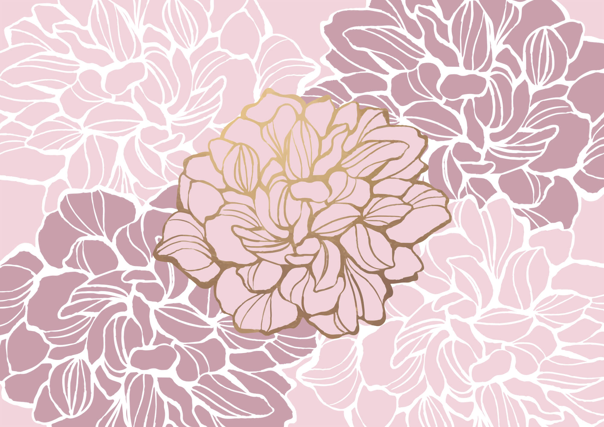 t00003v1p - Fiore rosa e bianco - tegory