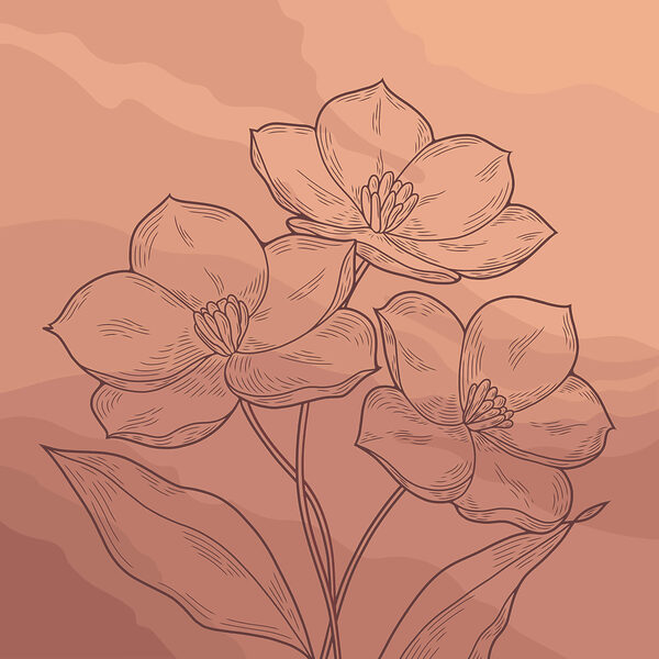 Disegno di fiori su sfondo rosa Disegno di fiori su sfondo rosa