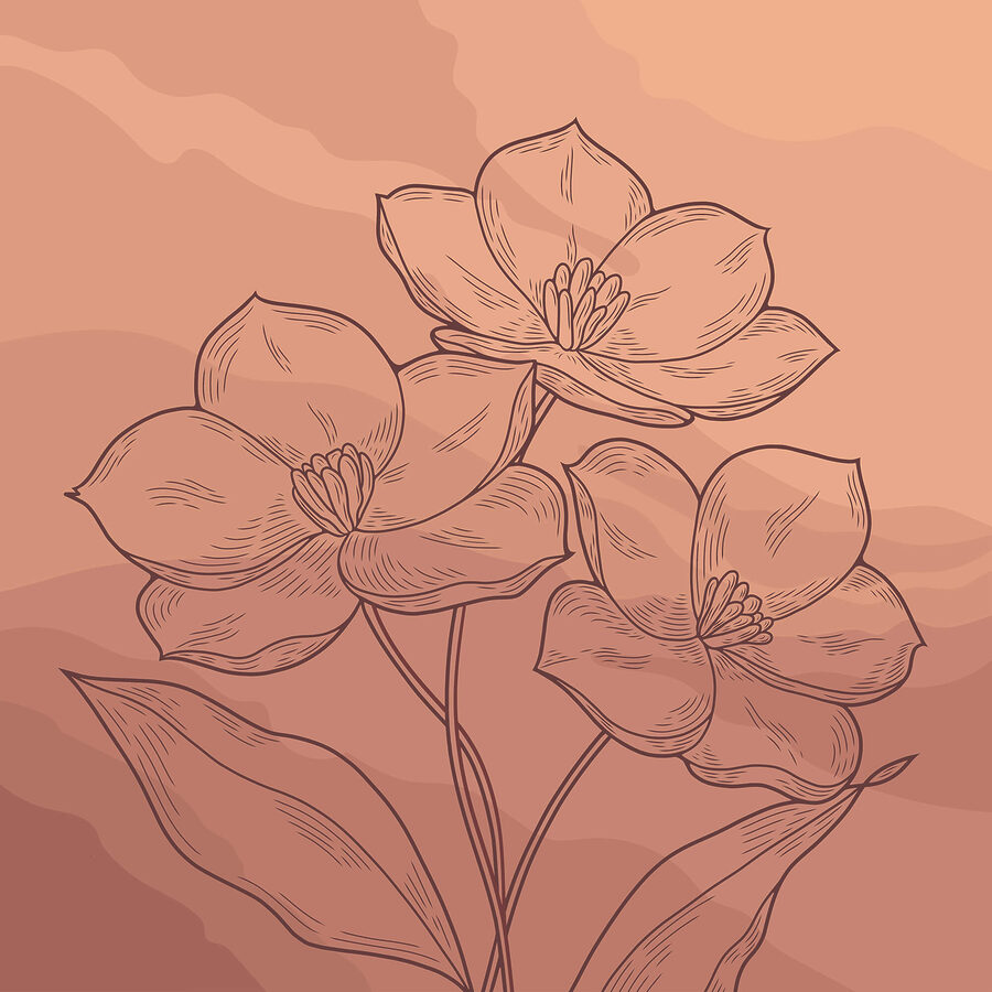 Disegno di fiori su sfondo rosa