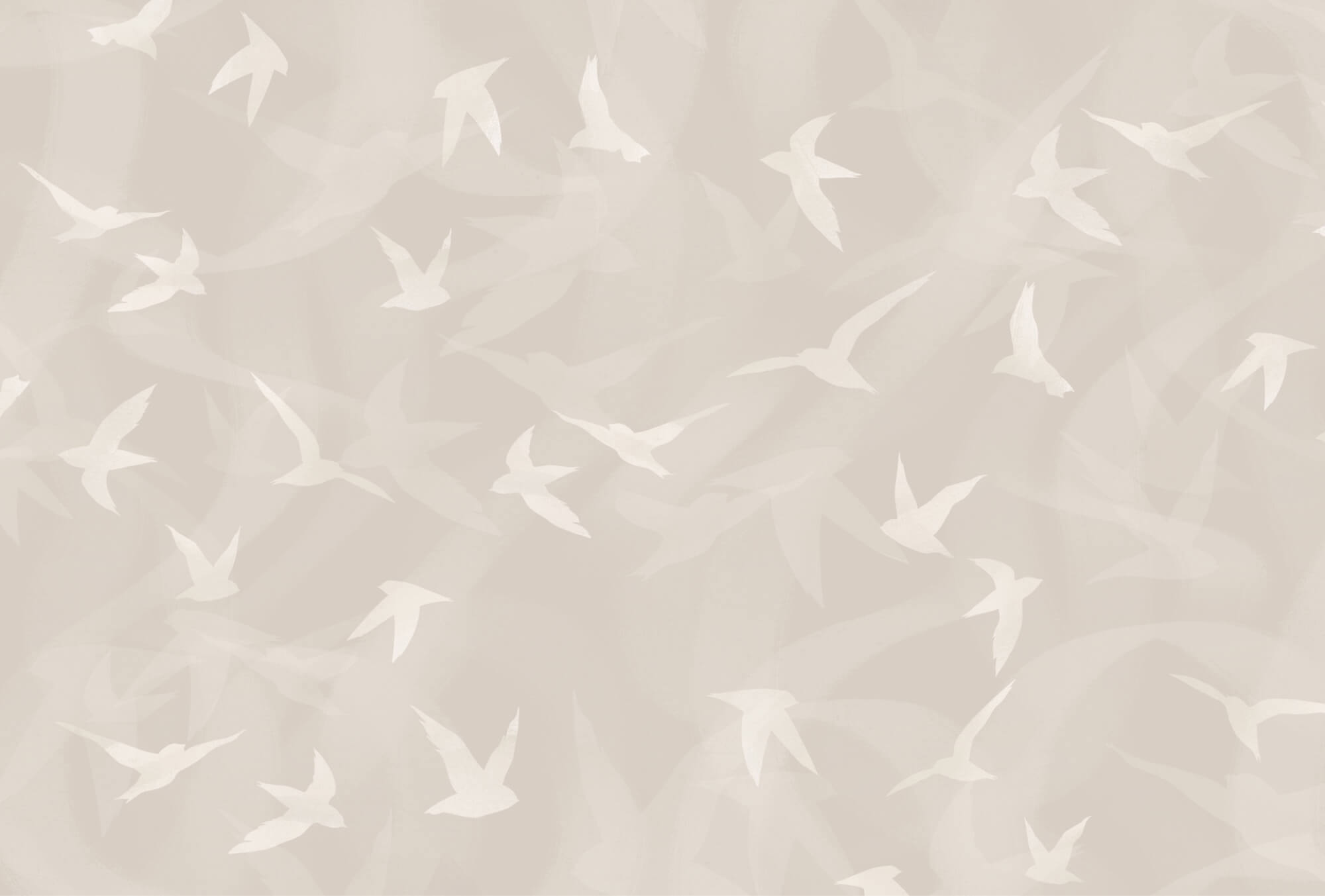 White birds flying in the air