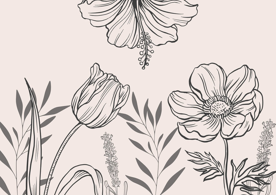 Delicato disegno di linee floreali