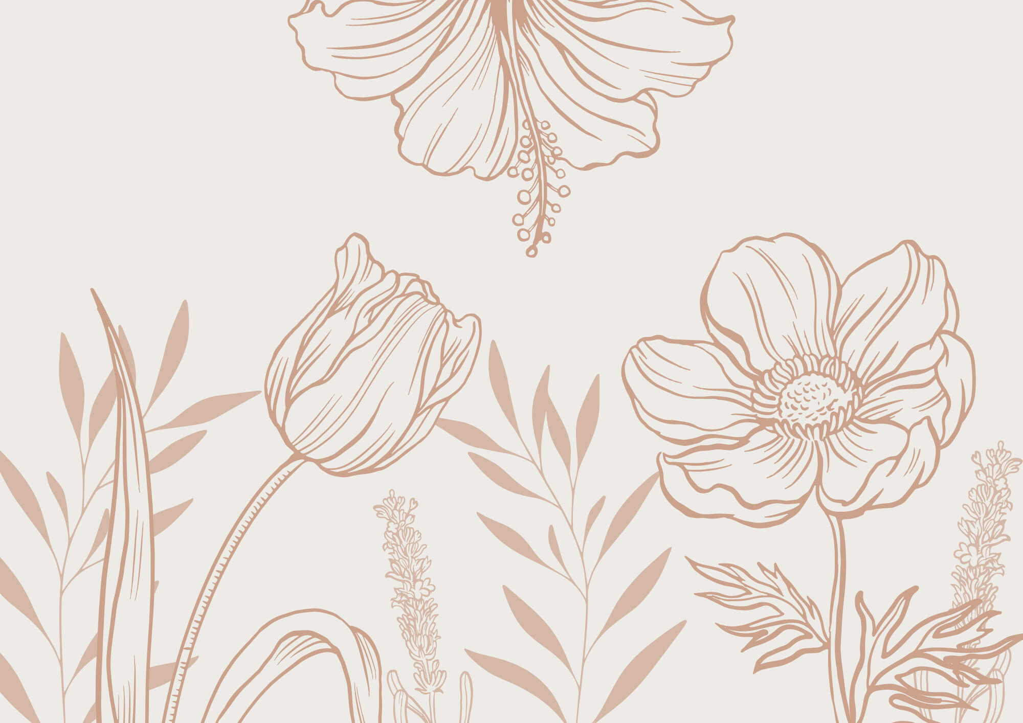 Delicate floral line art design Delicate floral line art design