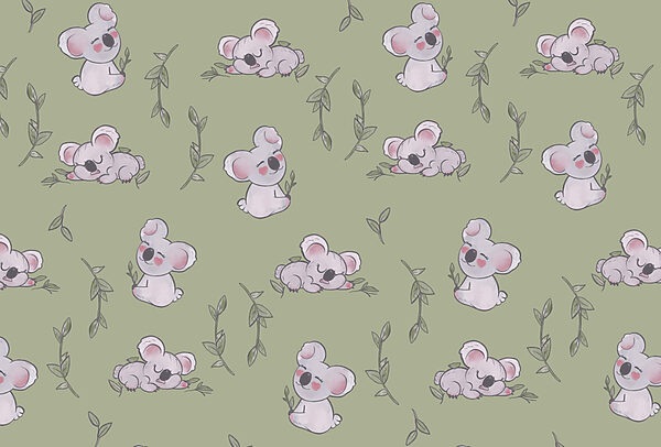 Schema di koala Schema di koala