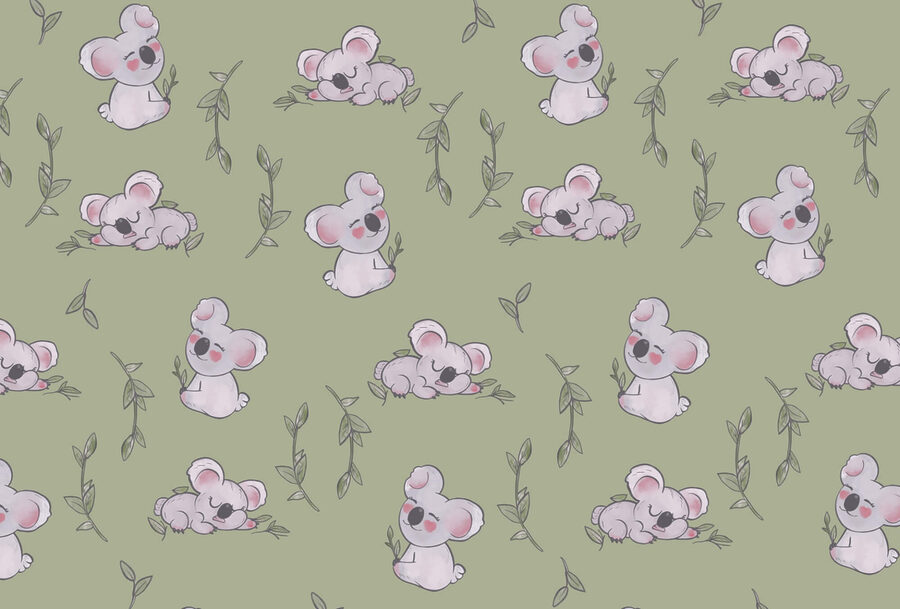 Schema di koala