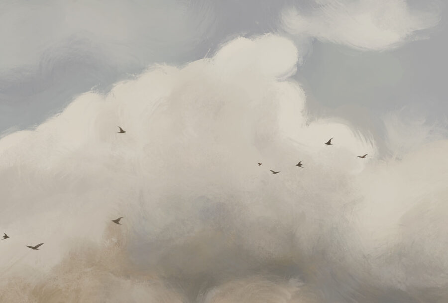 Uccelli che volano nel cielo