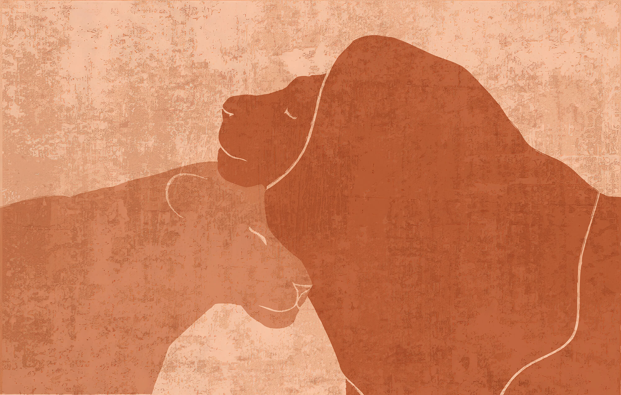 Lion and lioness drawing