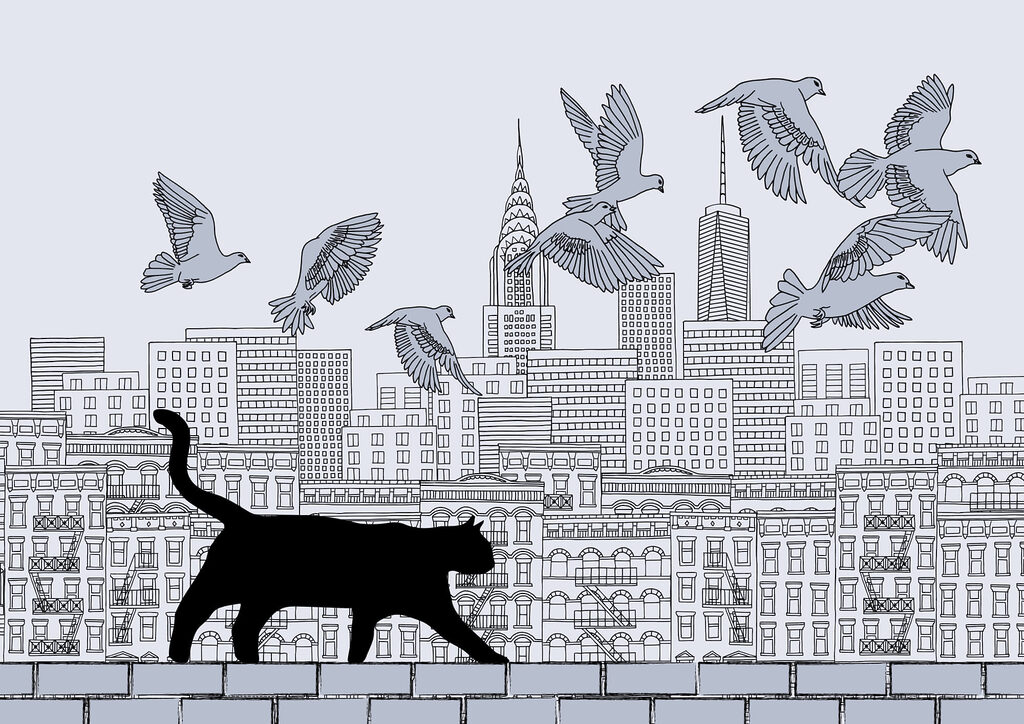 Gatto che cammina su un muro con uccelli che volano nel cielo Gatto che cammina su un muro con uccelli che volano nel cielo