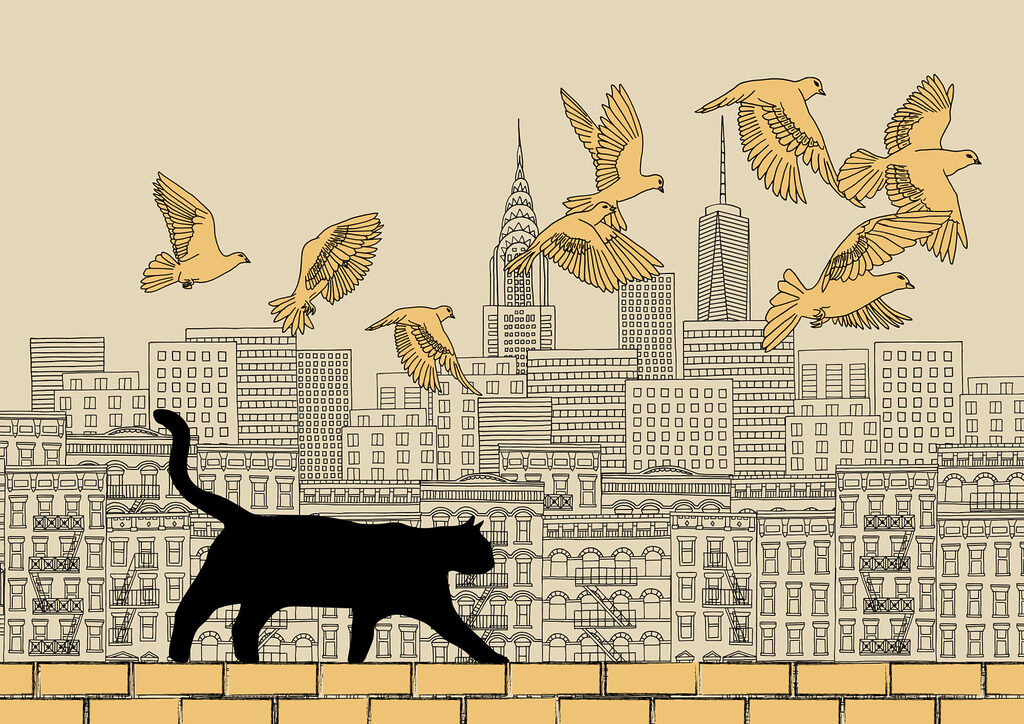 Gatto che cammina su un muro con uccelli che volano nel cielo Gatto che cammina su un muro con uccelli che volano nel cielo
