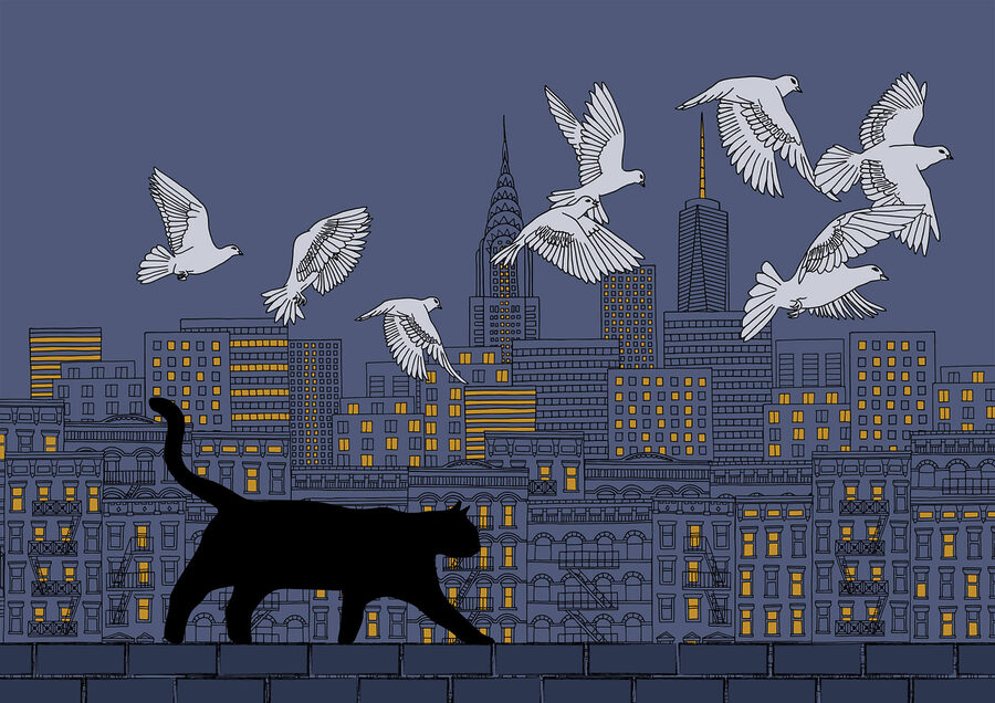 Gatto che cammina su un muro con uccelli che volano nel cielo