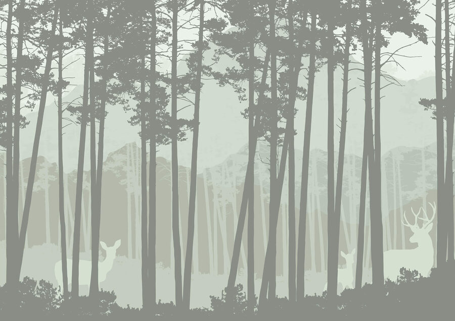 Gruppo di alberi in una foresta