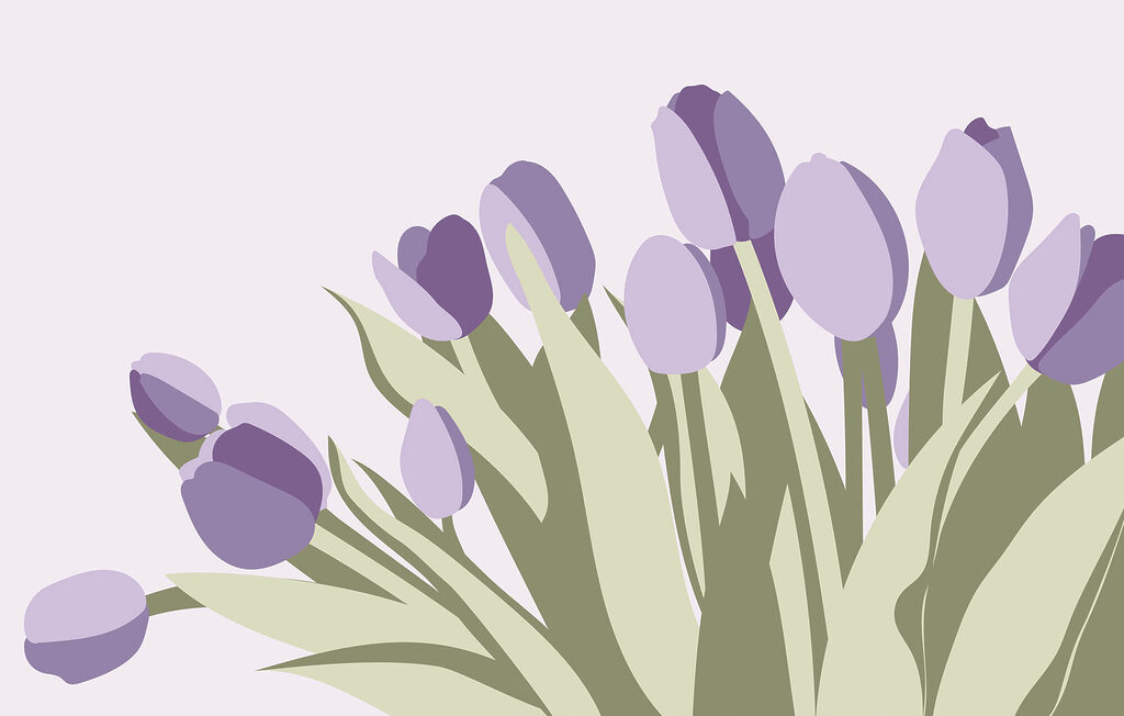 Mazzo di tulipani viola Mazzo di tulipani viola
