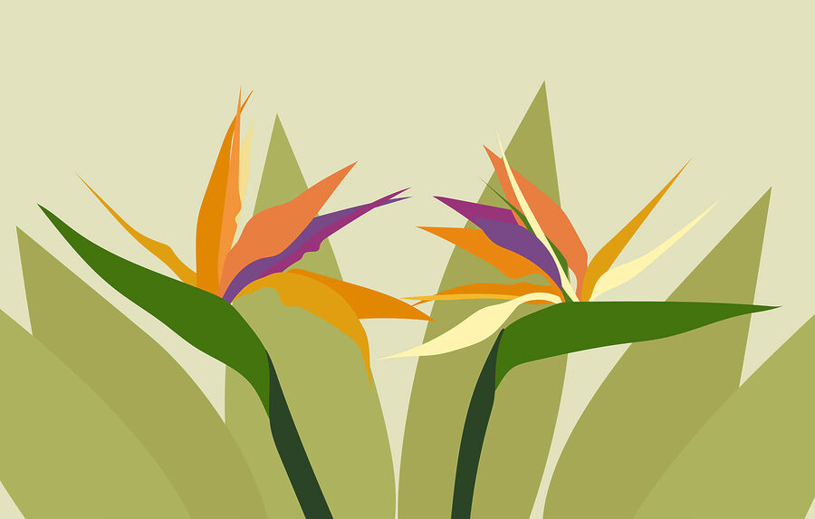 Fiori colorati su steli verdi