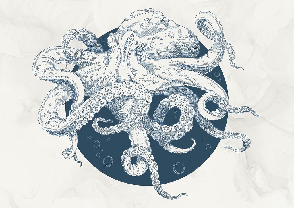Disegno di un polpo t00010p 1024x724 - Disegno di un polpo - tegory