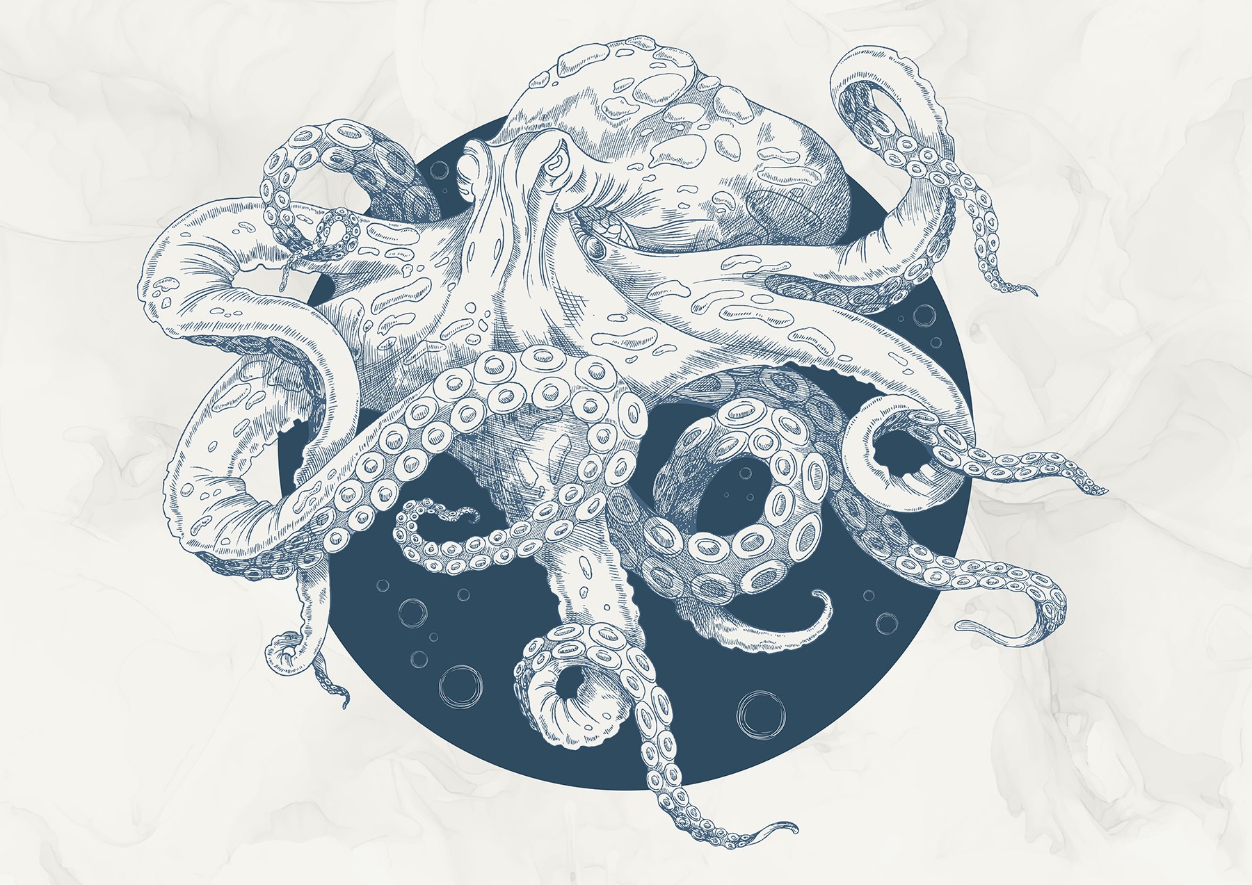 Disegno di un polpo t00010p - Disegno di un polpo - tegory